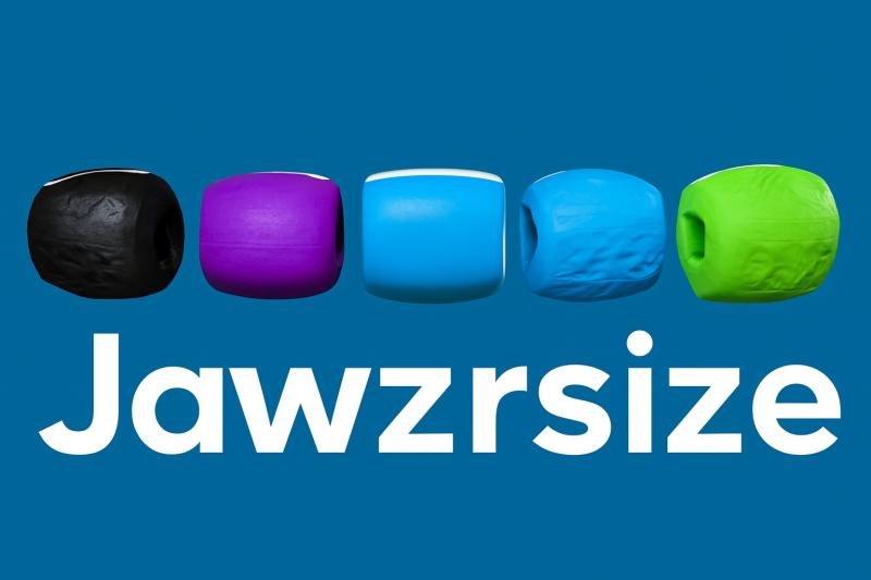 Jawzrsize The Jaw Exercise Device Risks Benefits and What Science Reveals