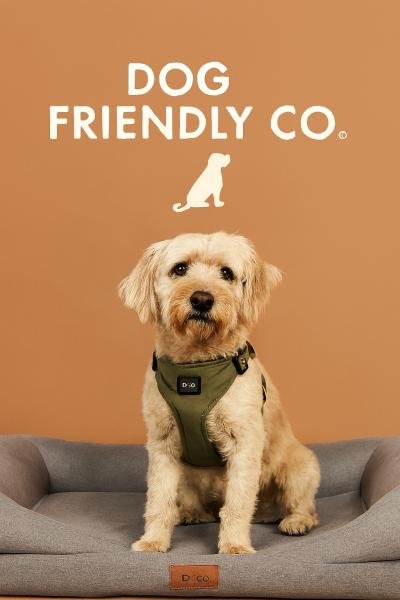 Dog Friendly Co Complete Guide to Lifestyle with Pets
